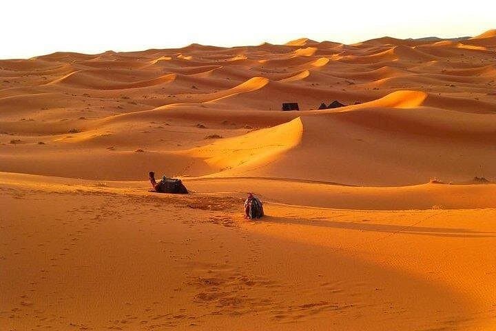 Two-Day Private Trip from Meknes to Merzouga: Erg Chebbi Camel Camp & Sunrise photo 4