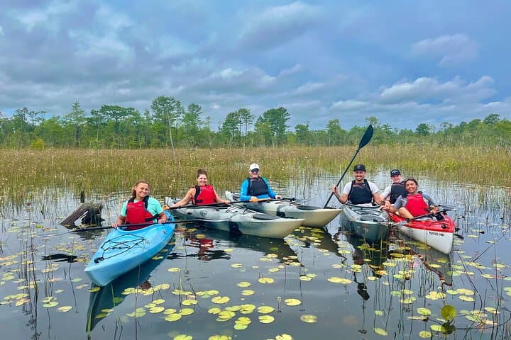 Yellow River Swamp Kayak Tour: Serene 4.5-Mile Paddling through Florida Cypress photo 3