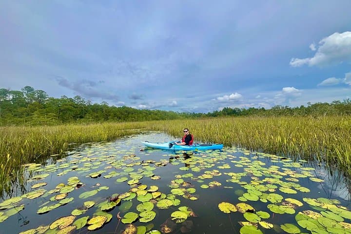 Yellow River Swamp Kayak Tour: Serene 4.5-Mile Paddling through Florida Cypress photo 4