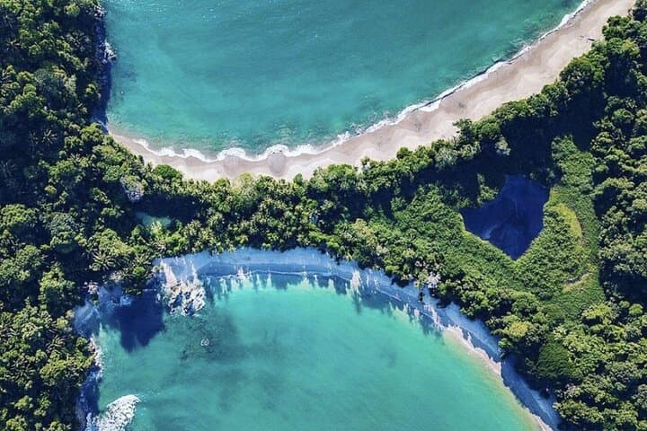 Private Manuel Antonio National Park Tour with Lunch — Guided Wildlife, Rainforest & Beach Day Trip photo 2