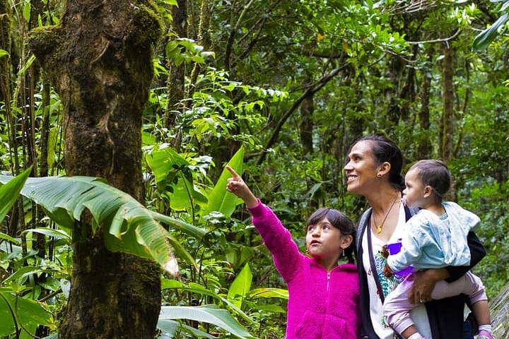 Private Manuel Antonio National Park Tour with Lunch — Guided Wildlife, Rainforest & Beach Day Trip photo 3