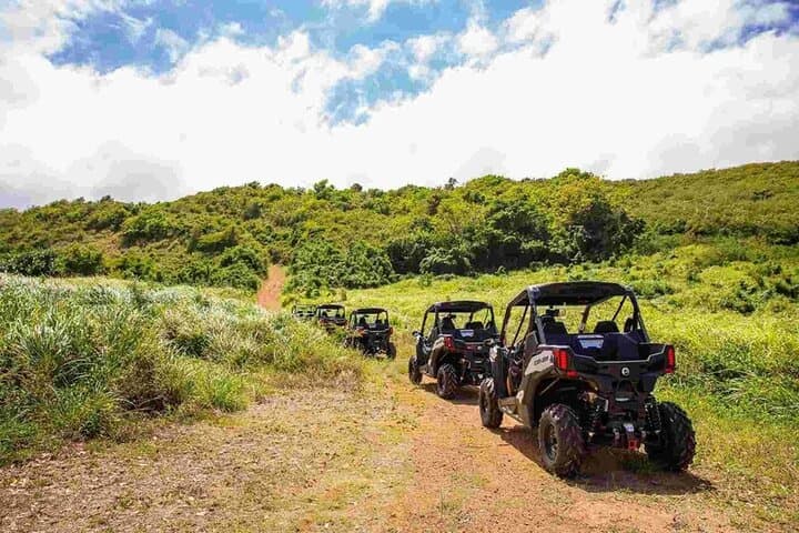Oceanview Offroad UTV Tour in Fajardo — Laguna Grande & Coastal Overlooks photo 2