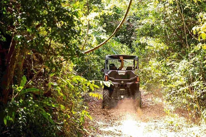 Oceanview Offroad UTV Tour in Fajardo — Laguna Grande & Coastal Overlooks photo 6