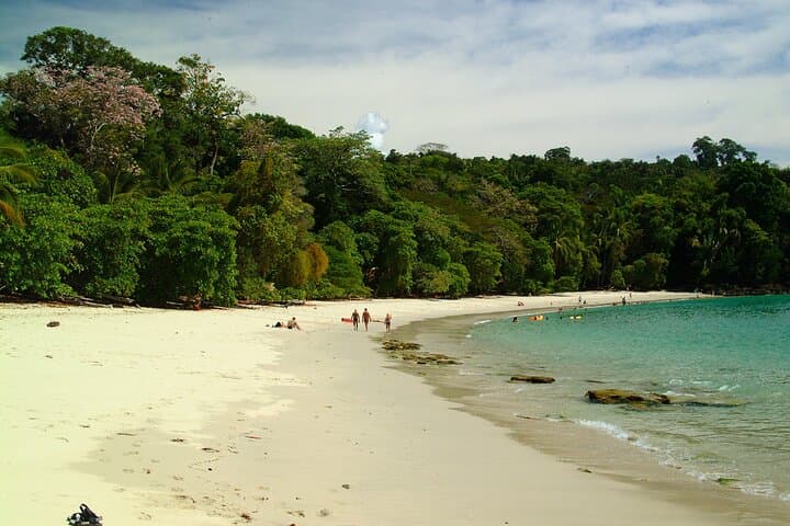 Private Manuel Antonio National Park Tour with Lunch — Guided Wildlife, Rainforest & Beach Day Trip photo 4