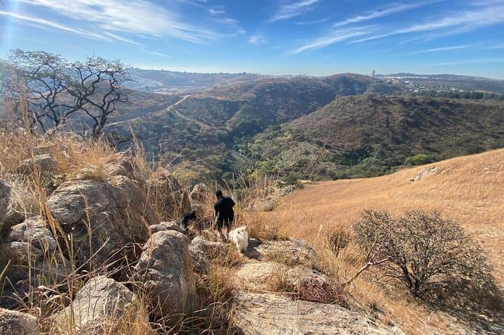 El Diente Hike & Panoramic Brunch — Guadalajara Views and Jalisco Flavors