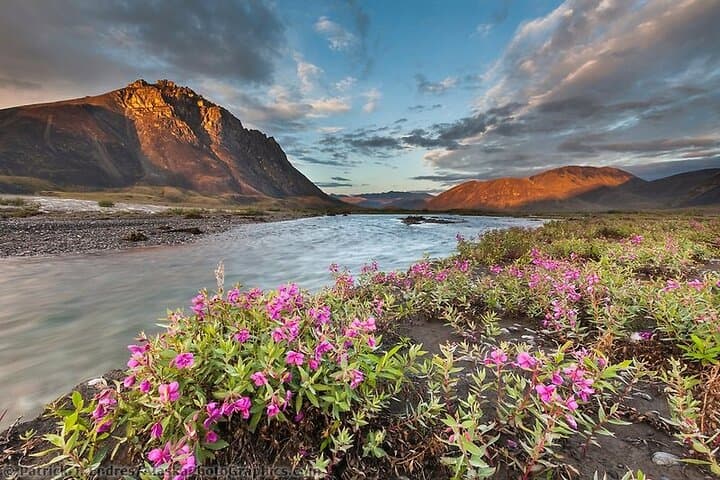 6-Day Grand Alaska Highlights Tour: Seward, Kenai Fjords & Denali Wildlife photo 3
