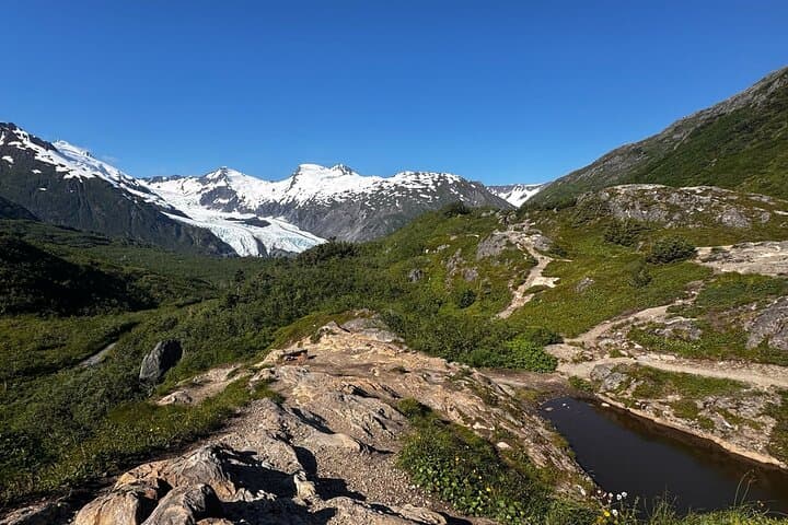 6-Day Grand Alaska Highlights Tour: Seward, Kenai Fjords & Denali Wildlife photo 5