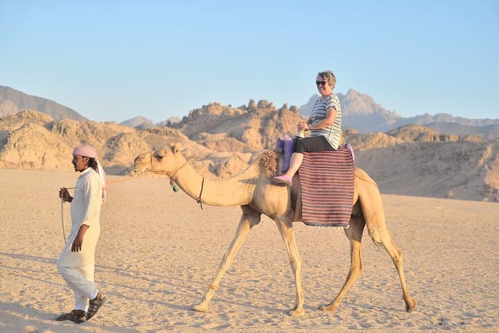 Marsa Alam Desert Safari: 4x4, Quad Biking, Camel Rides & Stargazing photo 5
