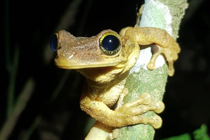 7-Day Manu National Park Jungle Tour — Amazon Wildlife & Lodge Adventure photo 2