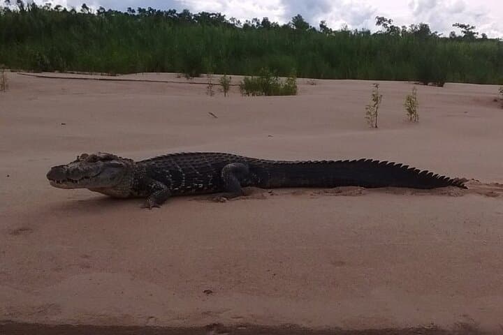 7-Day Manu National Park Jungle Tour — Amazon Wildlife & Lodge Adventure photo 3