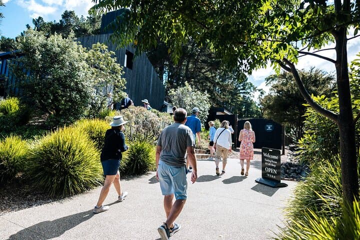 Heke Brewery & Distillery Tour Waiheke Island — Beer and Whisky Tasting Experience photo 5