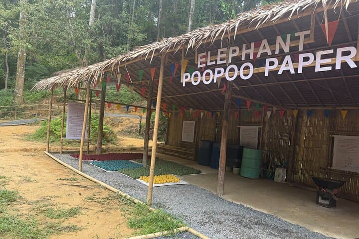 Ethical Elephant Encounters in Patong: Half-Day at Patong Elephant Hug photo 3