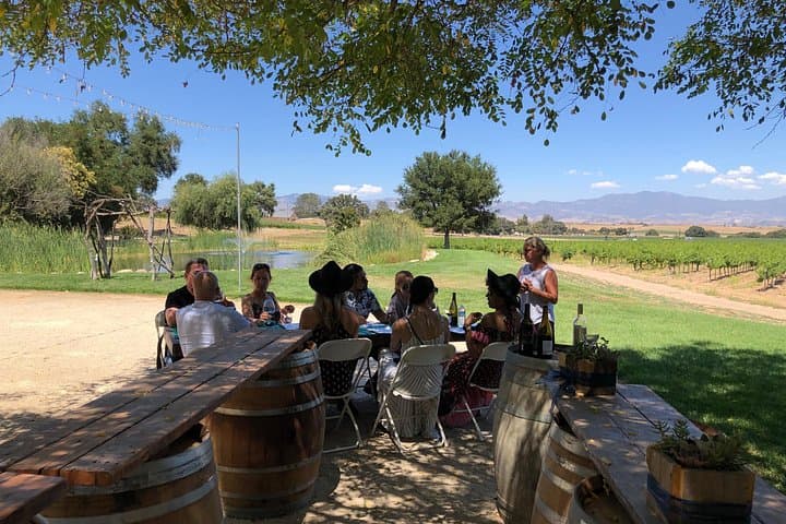 Santa Ynez Valley Private Wine Tour from Santa Barbara — 3-Winery Tasting & Picnic photo 2