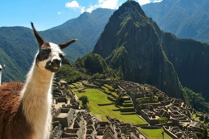 Lares Trek and Short Inca Trail: 4-Day Adventure to Machu Picchu photo 1