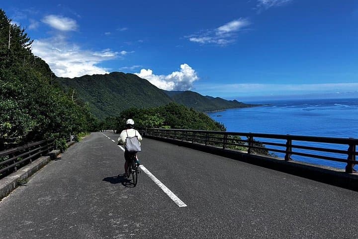 Yakushima Electric Bike Rentals: Explore Ancient Cedars and Coastal Roads by E‑Bike photo 3