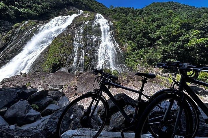 Yakushima Electric Bike Rentals: Explore Ancient Cedars and Coastal Roads by E‑Bike photo 4