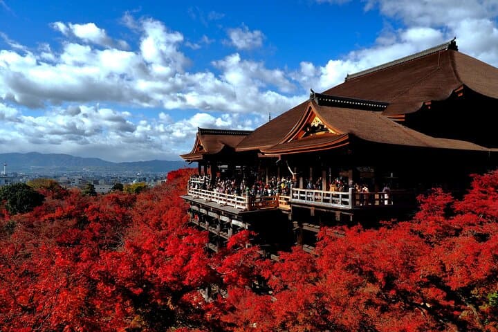 Full-Day Kyoto UNESCO Sites: Kinkakuji, Arashiyama Bamboo Grove & Kiyomizu-dera