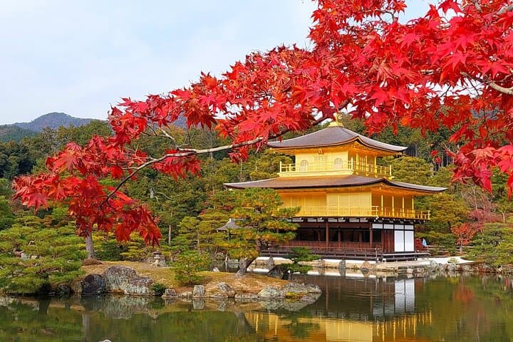 Full-Day Kyoto UNESCO Sites: Kinkakuji, Arashiyama Bamboo Grove & Kiyomizu-dera photo 2