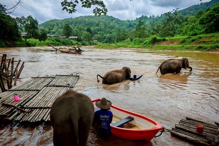Private 3-Day Chiang Mai and Chiang Rai Highlights Tour: Sticky Waterfall, Elephant Sanctuary & White Temple photo 3