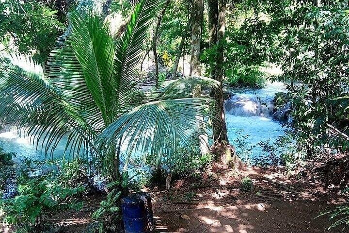 Climb Dunn's River Falls and Swim the Blue Hole — Full-Day Ocho Rios Adventure photo 3