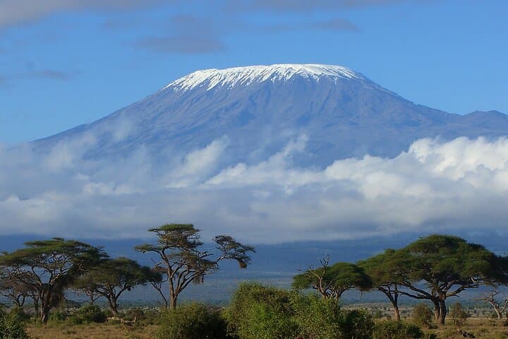 8-Day Lemosho Route Trek to Mount Kilimanjaro — Complete Guide photo 2