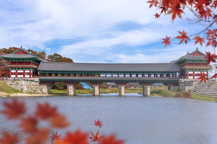 Gyeongju One-Day Tour from Daegu: Bulguksa, Royal Tombs & Night Views photo 1