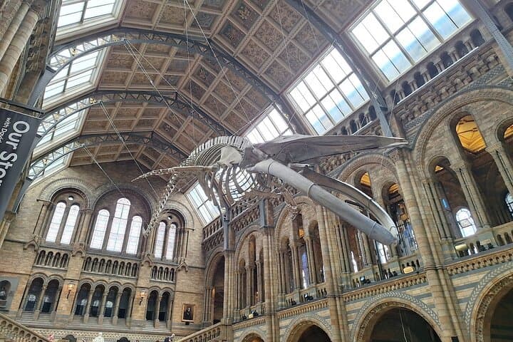 Natural History Museum London Audio Guide & Reserved Entry Ticket — Highlights Tour photo 4