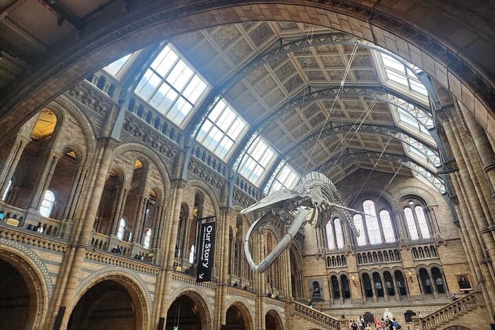Natural History Museum London Audio Guide & Reserved Entry Ticket — Highlights Tour photo 2