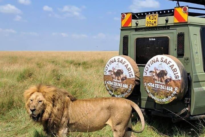 3-Day Masai Mara Safari — Midrange Camp & Open-Roof 4x4 Game Drives