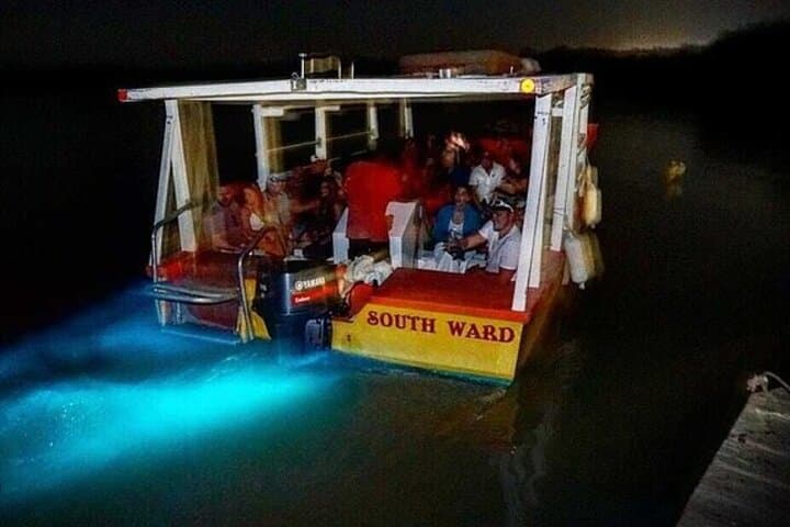Luminous Lagoon & Fire Water Spring Day Trip from Negril — Bioluminescence & Healing Baths photo 3