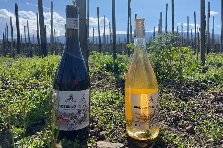 Etna Wine Tasting Tour — Zafferana Wines, Honey & Vineyard Lunch photo 2