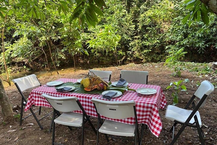 Farm-to-Table Dominican Cooking Class Near Punta Cana: Open-Fire Meal in Miches photo 4
