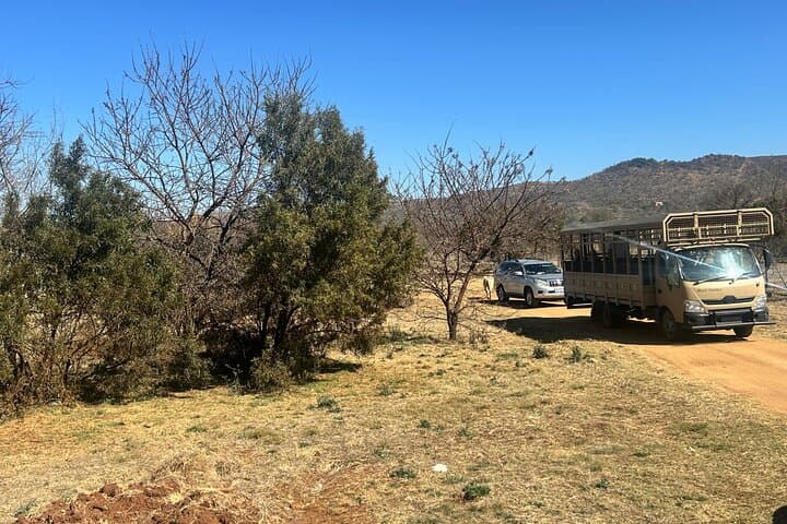 Lion & Safari Park and Lesedi Cultural Village: Day Trip from Johannesburg photo 5