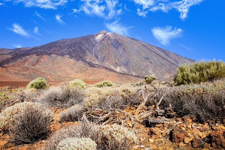 Teide National Park 4x4 Safari: Volcano Views, Lava Fields & Wildlife photo 3