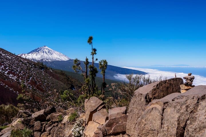 Teide National Park 4x4 Safari: Volcano Views, Lava Fields & Wildlife photo 5