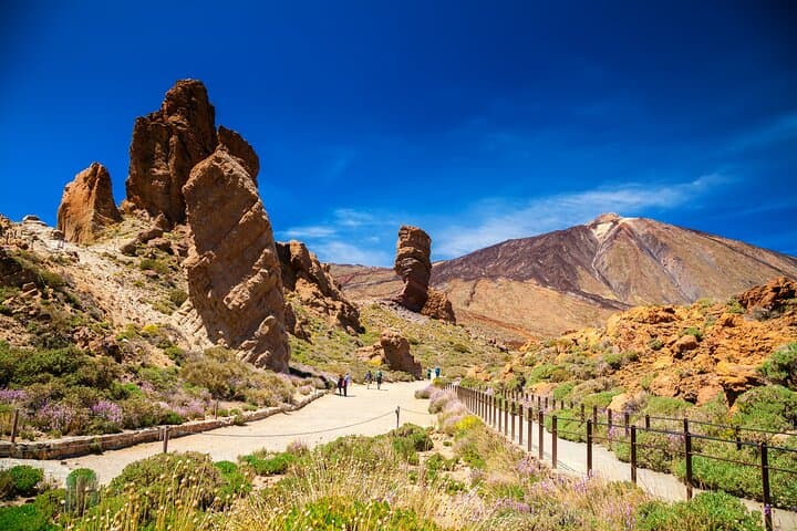 Teide National Park 4x4 Safari: Volcano Views, Lava Fields & Wildlife