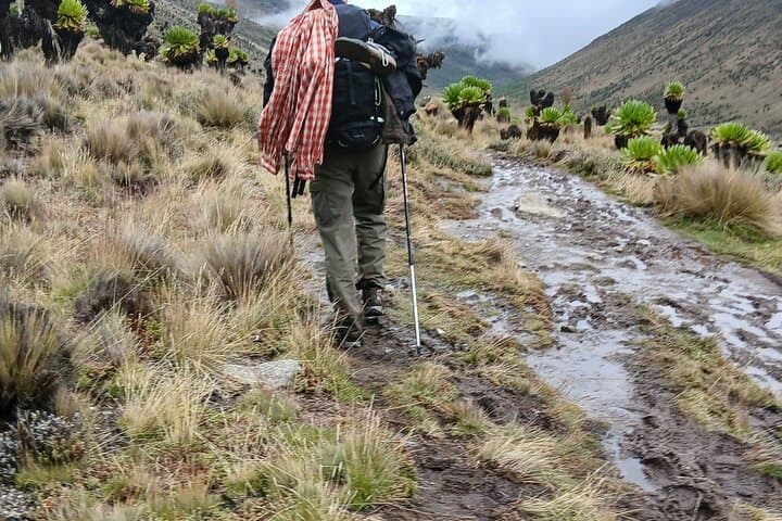 Mount Kenya 5-Day Chogoria Route Trek from Nairobi photo 3