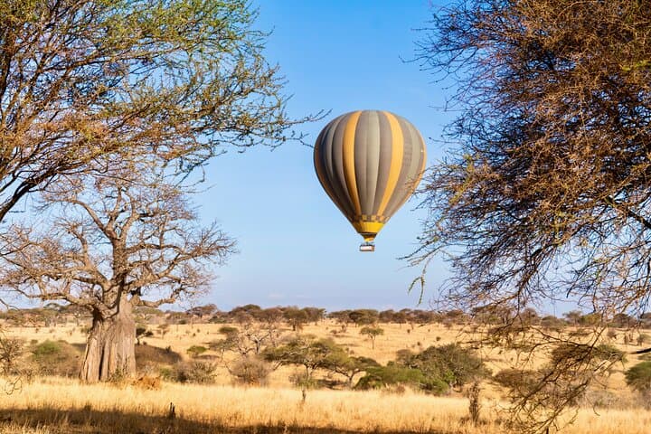 Maasai Mara Hot Air Balloon Safari: Sunrise Wildlife Flight & Champagne Breakfast
