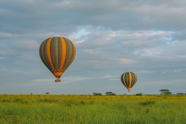 Maasai Mara Hot Air Balloon Safari: Sunrise Wildlife Flight & Champagne Breakfast photo 2