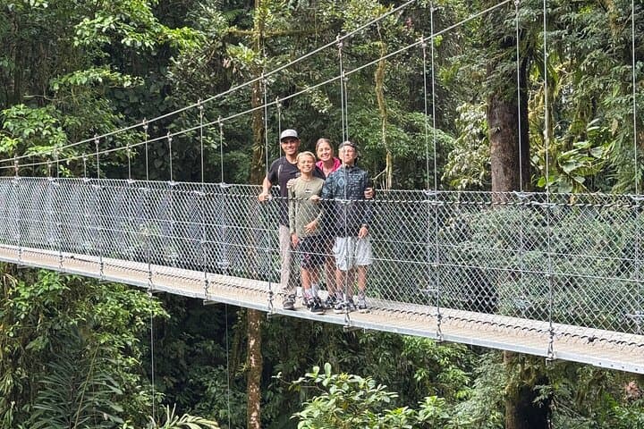 Arenal Hanging Bridges, Volcano Hike & Hot Springs Day Combo in La Fortuna photo 2