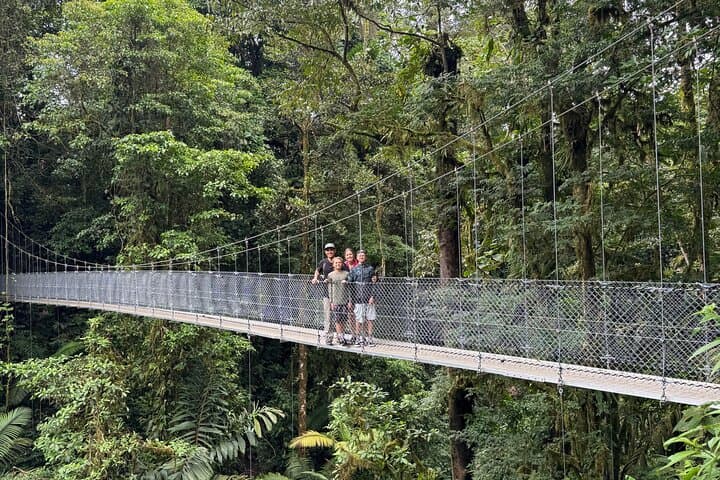 Arenal Hanging Bridges, Volcano Hike & Hot Springs Day Combo in La Fortuna