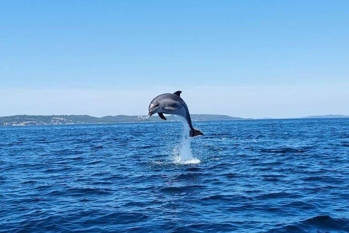 Zadar Half-Day Skipper Boat Tour: Swim, Snorkel & Island Walks photo 3