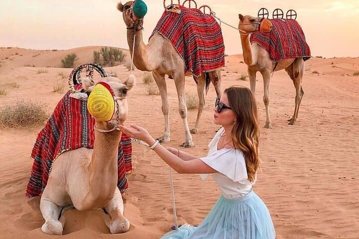 Dubai Desert Safari Tour: Dune Bashing, Bedouin Camp & Sunset BBQ photo 4