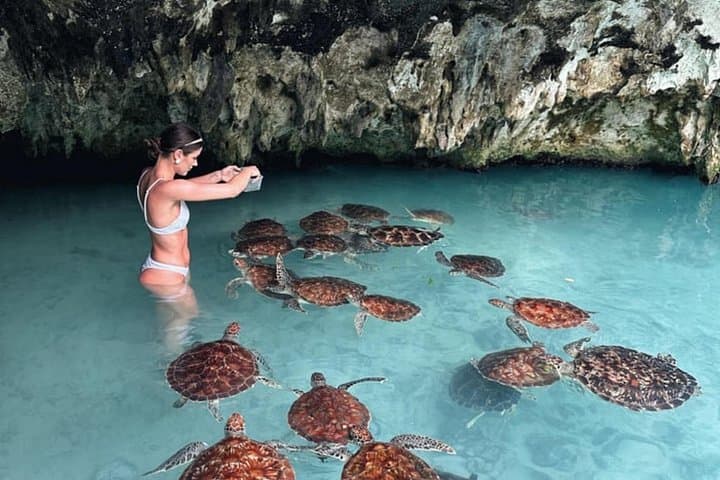 Zanzibar Day Trip: Jozani Forest, Salaam Cave Swim & The Rock Restaurant photo 3