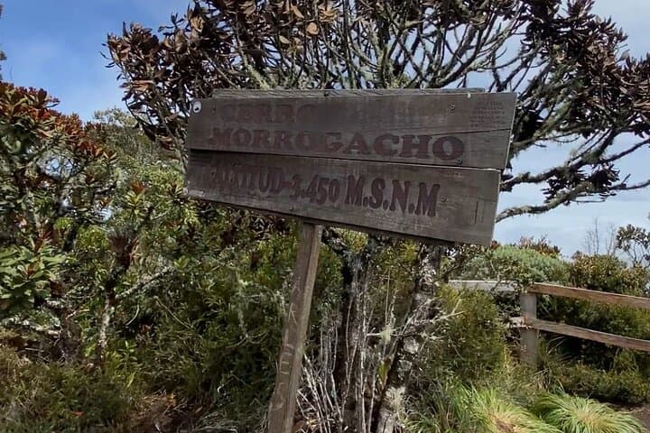 Morrogacho Peak Hike: Salento's Challenging Mountain Trek with Cocora Views