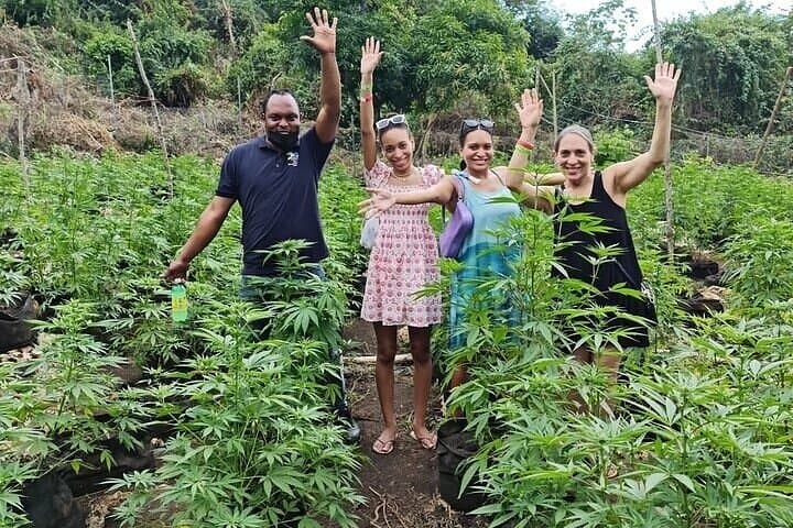 Explore Negril’s Blue Hole Mineral Spring: Guided Swim and Herb Tour photo 6
