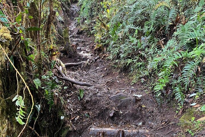 Morrogacho Peak Hike: Salento's Challenging Mountain Trek with Cocora Views photo 3