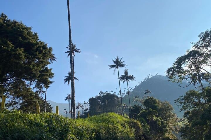 Morrogacho Peak Hike: Salento's Challenging Mountain Trek with Cocora Views photo 6