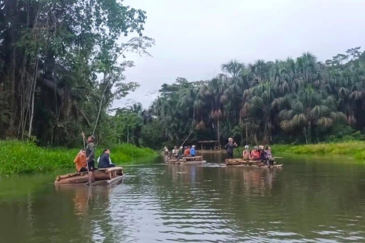 3-Day Manu National Park Amazon Adventure from Cusco photo 6