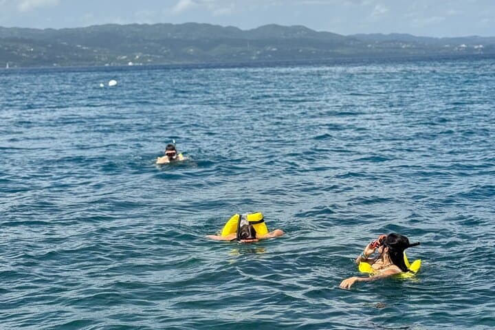 Glass-bottom Boat & Snorkeling in Montego Bay: Explore Coral Reefs and Sea Life photo 3